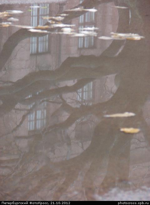 Фотокросс «Большой Осенний», кросс Чудо-дерево команды №9
