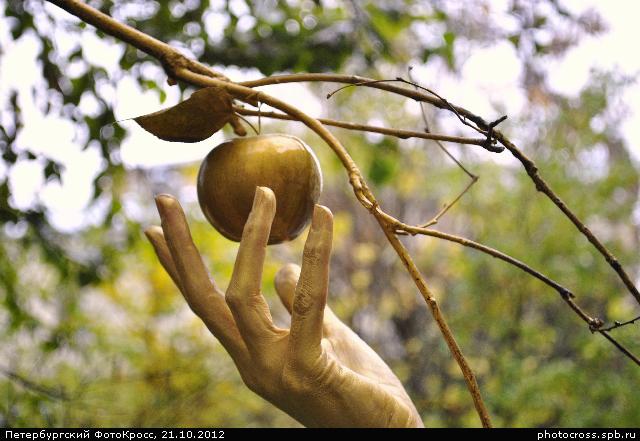 Фотокросс «Большой Осенний», кросс Чудо-дерево команды №22