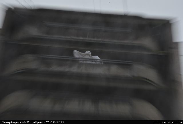 Фотокросс «Большой Осенний», кросс Тот, который живет на крыше команды №31