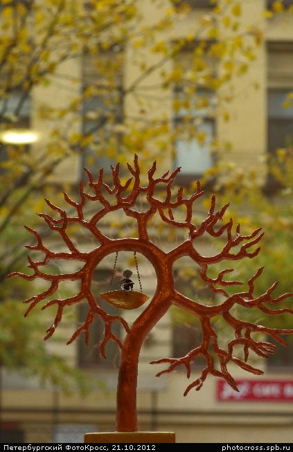 Фотокросс «Большой Осенний», кросс Чудо-дерево команды №37
