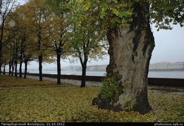 Фотокросс «Большой Осенний», кросс Чудо-дерево команды №55
