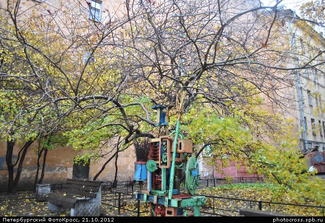 Фотокросс «Большой Осенний», кросс Чудо-дерево команды №63