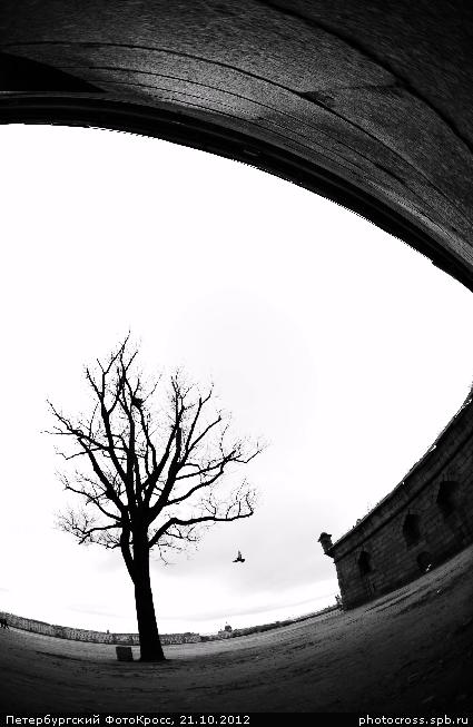 Фотокросс «Большой Осенний», кросс Чудо-дерево команды №72
